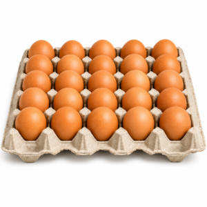 Ovos Castanhos M cartão 12